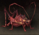 The Tillers - Red Cricket