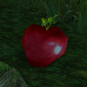 Ripe Crispfruit