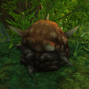 Roasted Seed