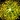 Desecrated Ground Icon