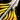Steady Focus Icon