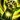 Evil is a Point of View Icon