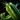 Windshear Cactus Seed Icon
