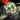 Zul'Again Icon
