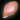 Wildfowl Breast Icon