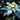 Snow Lily Icon