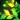 Ferment Icon