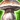 Stuffed Lushrooms Icon