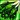 Fel Flame Icon