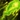Jadefire Breath Icon