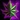 Genesis Icon