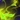 Jade Tempest Icon
