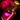 Master Healing Potion Icon
