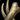 Bone Armor Icon