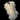 Candle in the Wind Icon